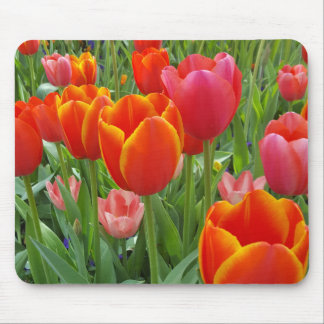 Tapis De Souris Tulip
