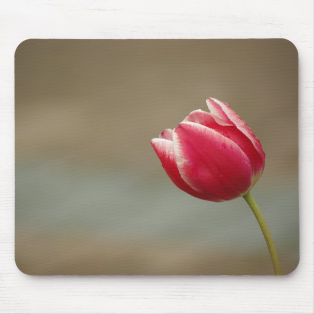 Tapis De Souris Tulip (Devant)