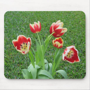 Tapis de souris Tulipe