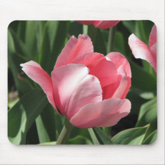 Tapis De Souris Tulipe