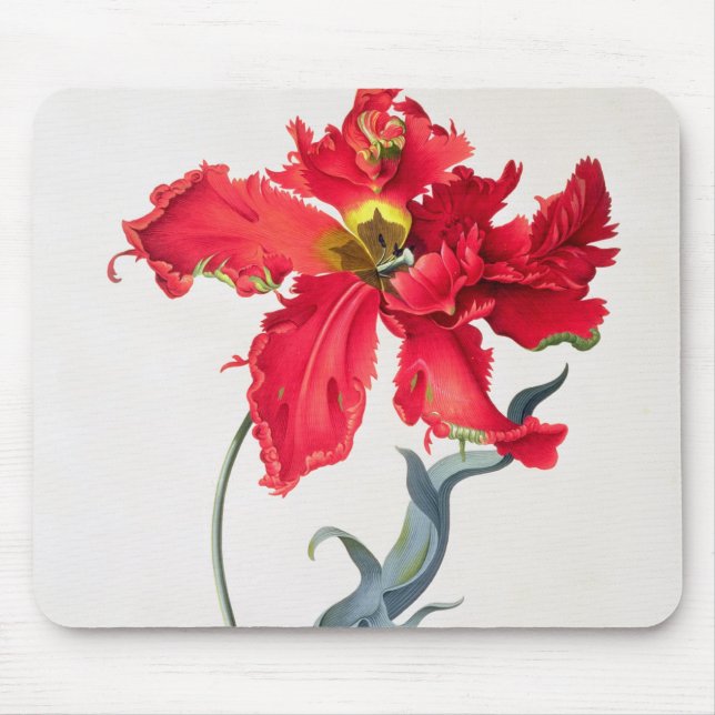 Tapis De Souris Tulipe : Fard à joues de Perroquet (Devant)