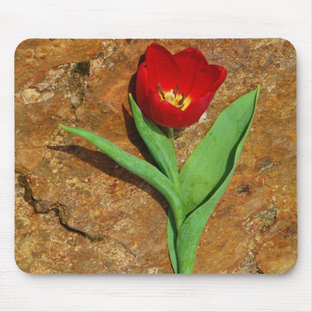 Tapis De Souris Tulipe jaune et rouge (Devant)