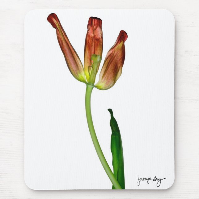 Tapis De Souris "Tulipe" par J. Maya Luz (Devant)