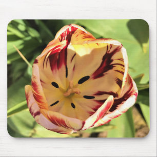 Tapis De Souris Tulipe rouge et blanche à l'intérieur