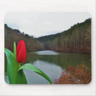 Tapis De Souris Tulipe rouge printanière au lac Arrowhead