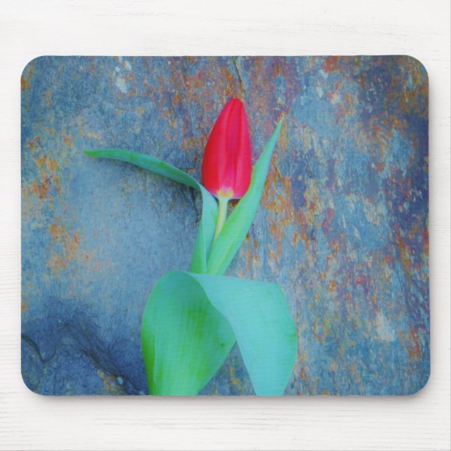 Tapis De Souris Tulipe rouge sur ardoise gris bleu (Devant)