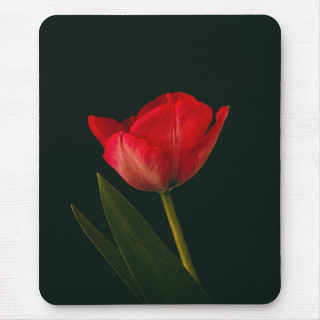 Tapis De Souris Tulipe rouge unique (Devant)