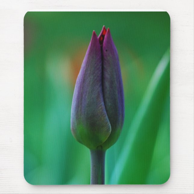 Tapis de souris Tulipe Violette en Fleur Fraîche (Devant)