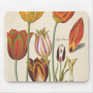Tapis De Souris Tulipes