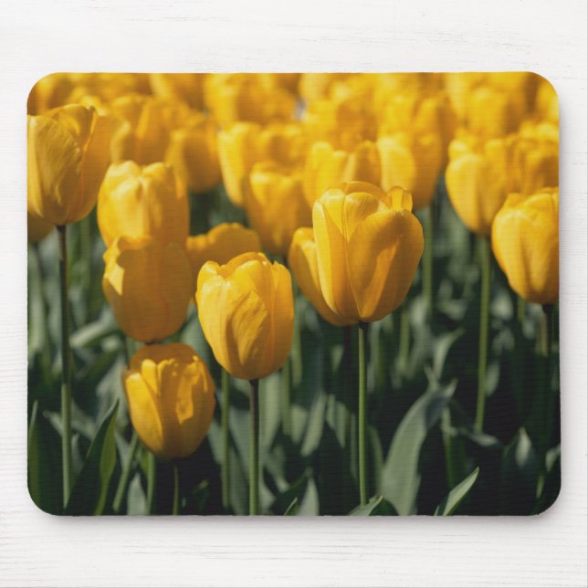 Tapis De Souris Tulipes 3 (Devant)