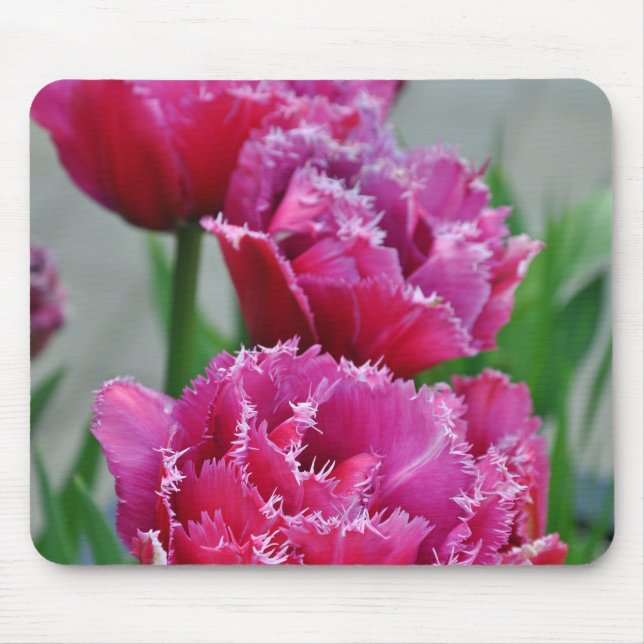 Tapis De Souris Tulipes à perroquets roses (Devant)