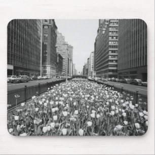 Tapis De Souris Tulipes au milieu de la rue de ville