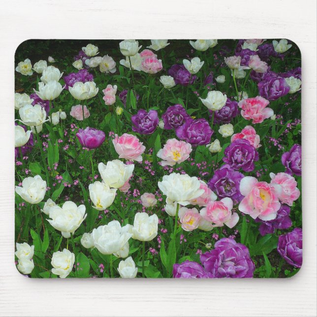 Tapis De Souris Tulipes colorées (Devant)