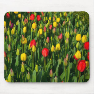 Tapis De Souris Tulipes colorées