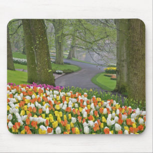 Tapis De Souris Tulipes et route, Jardins de Keukenhof, Lisse,