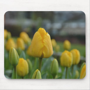 Tapis De Souris Tulipes jaunes sur le terrain