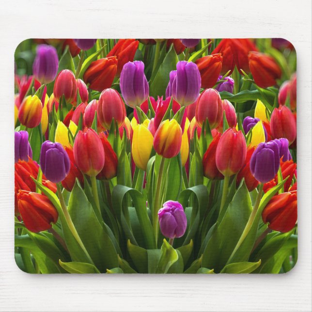 Tapis De Souris Tulipes lumineuses (Devant)