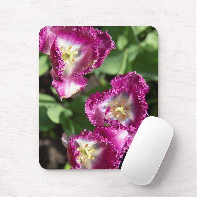 Tapis De Souris Tulipes mignonnes pourpres dans le jardin (Avec souris)