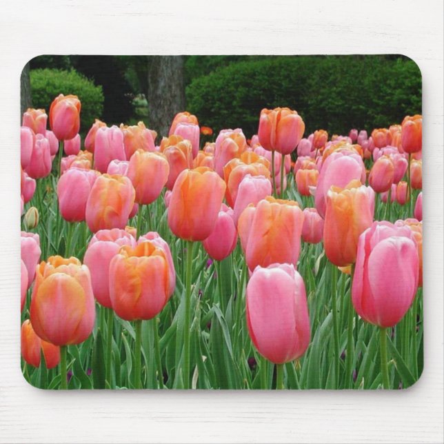 Tapis De Souris Tulipes N°1 (Devant)