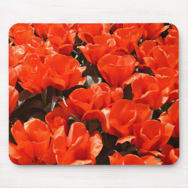 Tapis De Souris Tulipes orange (Devant)