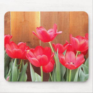 Tapis De Souris Tulipes peintes