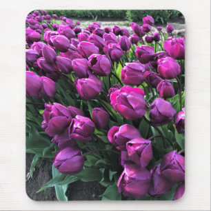 Tapis De Souris Tulipes princes pourpres