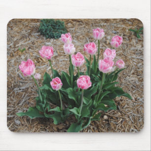 Tapis De Souris Tulipes roses