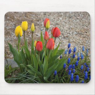 Tapis De Souris Tulipes Rouges Et Jaunes