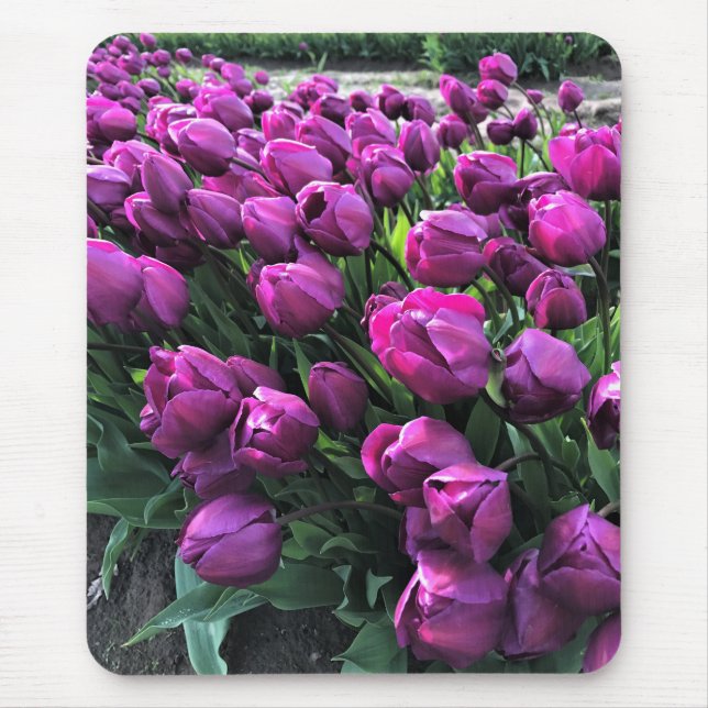 Tapis De Souris Tulips de Purple (Devant)