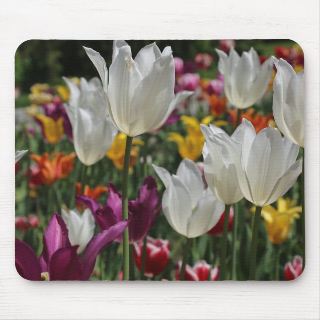 Tapis De Souris Tulips Mousepad (Devant)
