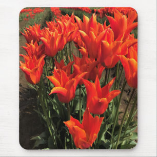 Tapis De Souris Tulips orange, Oregon