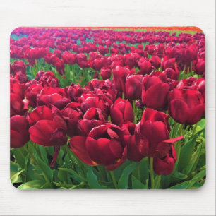 Tapis De Souris Tulips rouges à Field, Oregon