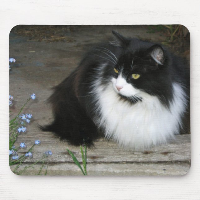 Tapis De Souris Tux - Mousepad (Devant)