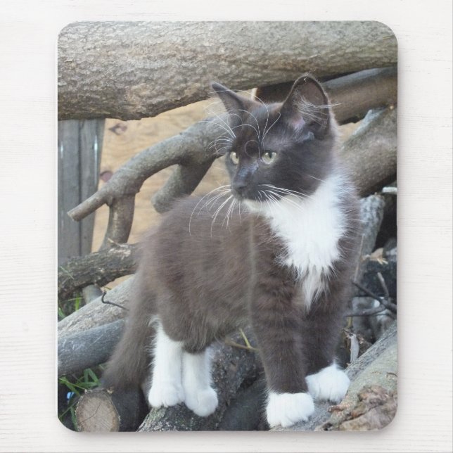 Tapis De Souris Tuxedo Kitten (Devant)