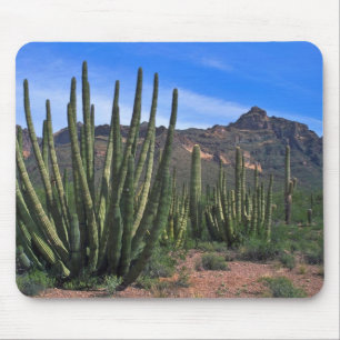 Tapis De Souris Tuyaux d'organe dans le désert