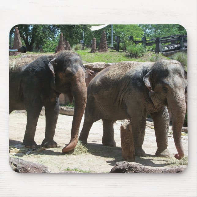 Tapis De Souris Two Elephants (Devant)