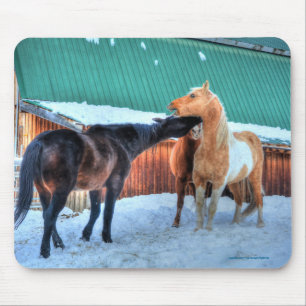 Tapis De Souris Two Horses Playfighting Funny Equine Photography