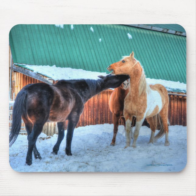 Tapis De Souris Two Horses Playfighting Funny Equine Photography (Devant)