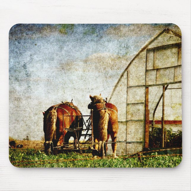 Tapis De Souris Two Horses Ready For Work (Devant)