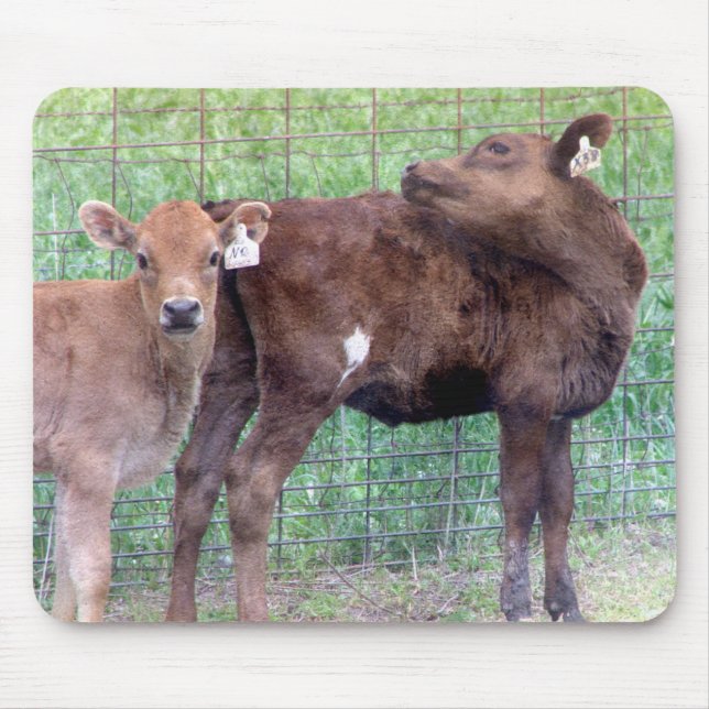 Tapis De Souris Two Little Heifers (Devant)