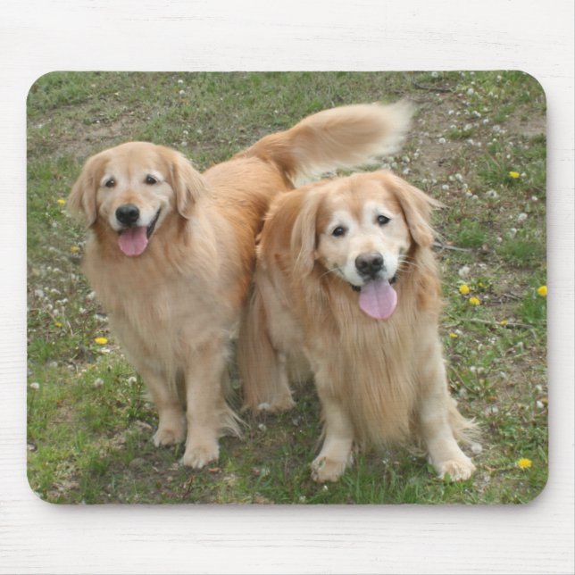 Tapis De Souris Two Smiling Golden Retriever Dogs in the Park (Devant)