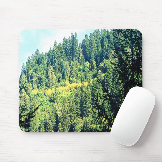 Tapis De Souris Un aigle dans les arbres..... (Avec souris)
