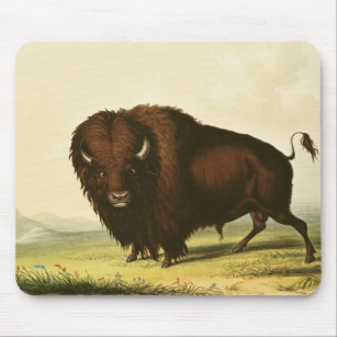 Tapis De Souris Un bison, c.1832