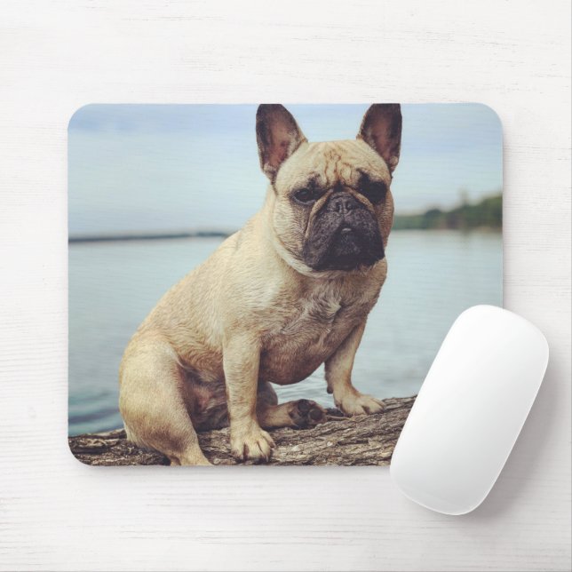 Tapis De Souris Un Bulldog français (Avec souris)