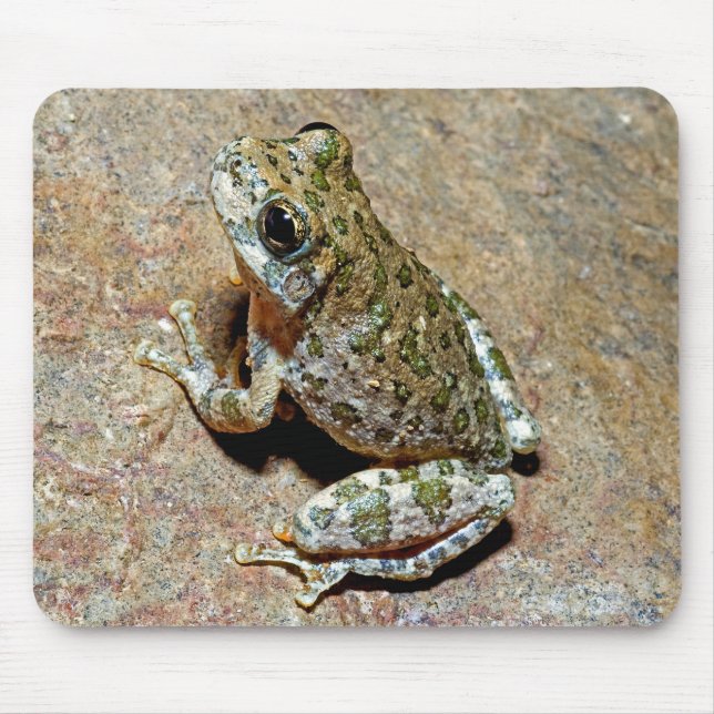 Tapis De Souris Un Canyon Treefrog (Devant)
