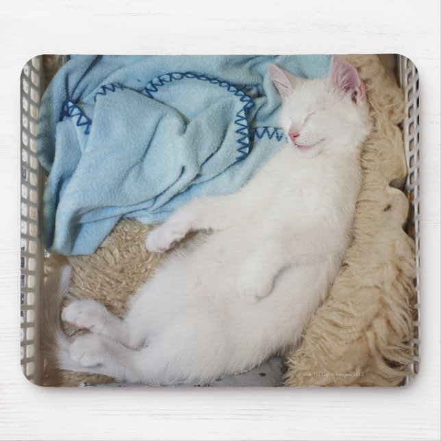 Tapis De Souris Un chat blanc qui dort dans une corbeille, (Devant)
