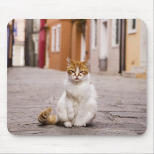 Tapis De Souris Un chat dans les rues de Burano, Italie. 2006.