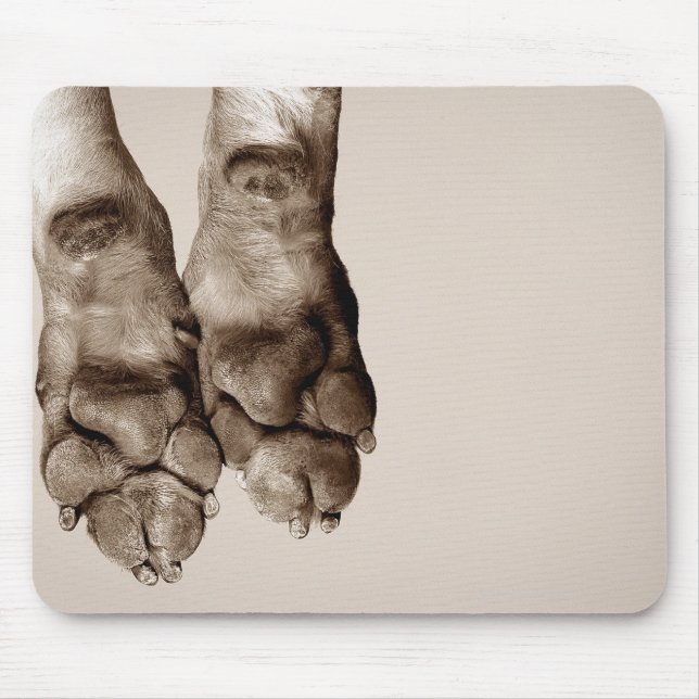Tapis De Souris Un chien pattes (Devant)