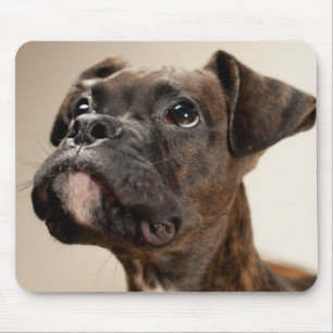 Tapis De Souris Un chiot Brindle de boxeur recherchant