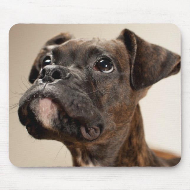 Tapis De Souris Un chiot Brindle de boxeur recherchant (Devant)